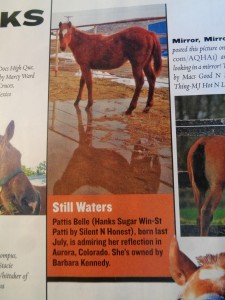 AQHA Magazine & Gracie 016