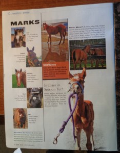 AQHA Magazine & Gracie 022