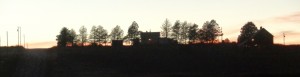 DSC03323