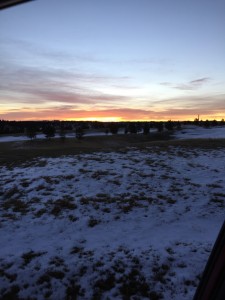 IMG_0549