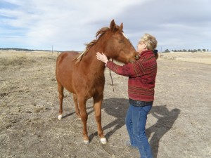 2:17Gracie meets me in pasture